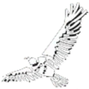Logo van Sky Eyes Legal