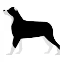 Logo van Border Colli