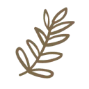 Logo Borrèl & Groen Youth Matters