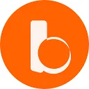 Logo van Boat Local