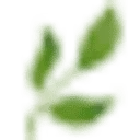 Logo van Villapark de Weerribben