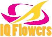 Logo van IQ Flowers