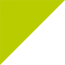 Logo van codex NL