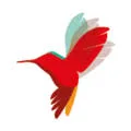 Logo van KokxDeVoogd