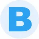 Logo van BI-XPERTS