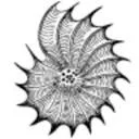 Logo Deep Ecology Network