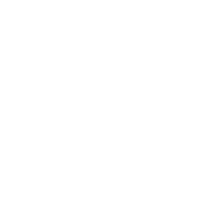 Logo van Valksound
