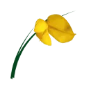 Logo van De Braampeel