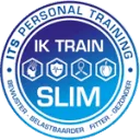 Logo van ITS PT