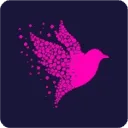 Logo M-Bird Events