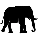 Logo Bring The Elephant Home Foundation