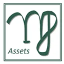 Logo van MJ Assets