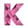 Logo van Studievereniging KIC