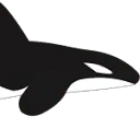 Logo van OrcaCare