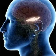 Logo van PVGM Brainiac