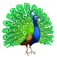 Logo Reijkwijdte