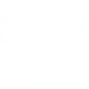 Logo van Van Vliet Motorsport