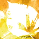 Logo van Bert Hellinger Instituut Nederland