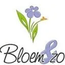 Logo van Bloem AND Zo