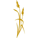 Logo De Vries Cornjum b.v.