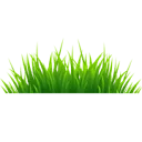 Logo van Netgras.nl