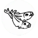 Logo van Vishandel Schot-van Dijke