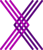 Logo Project- en adviesbureau Project X-tra