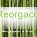 Logo van Reorgaco
